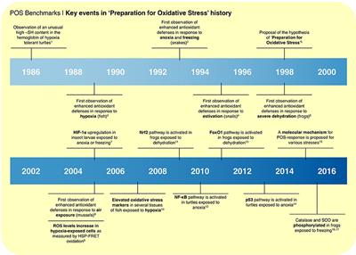 Current Trends and Research Challenges Regarding “Preparation for Oxidative Stress”